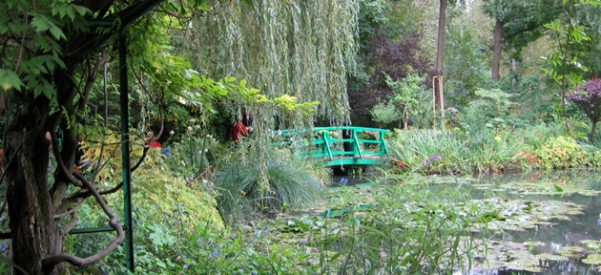 Aplicativo do MET para visitar os jardins de Monet 